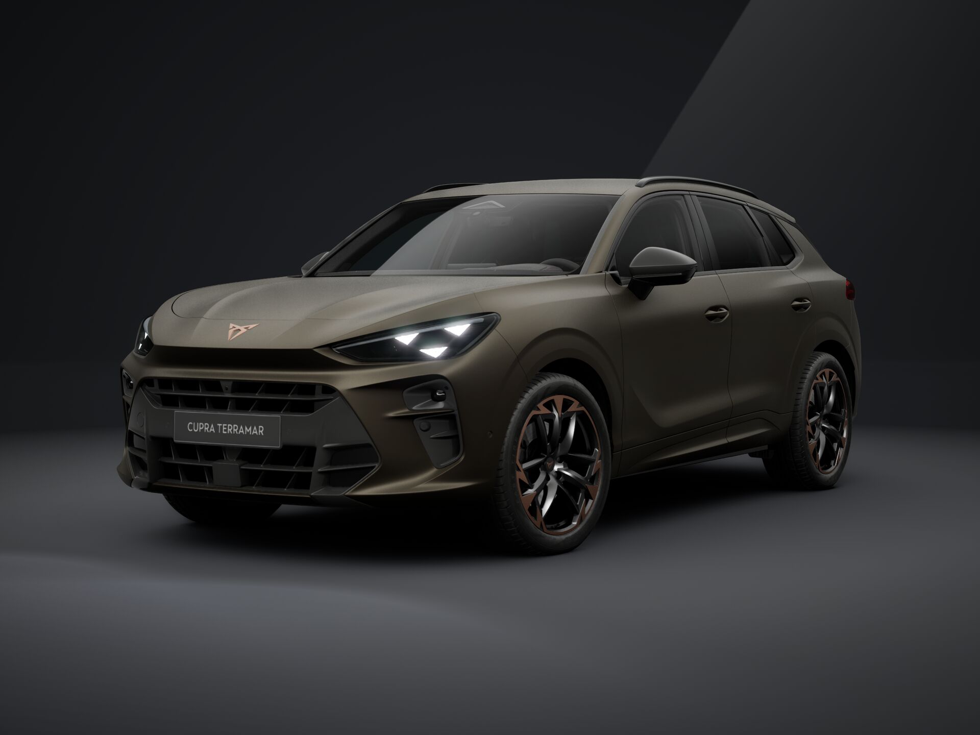 Slika CUPRA Terramar VZ 2.0 TSI DSG 4WD