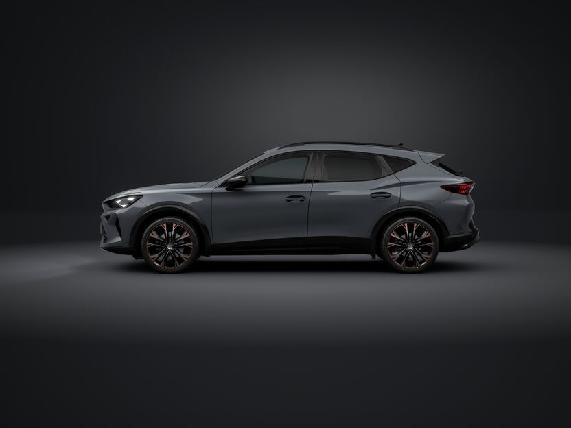 Slika CUPRA Formentor 2.0 TSI DSG 4WD