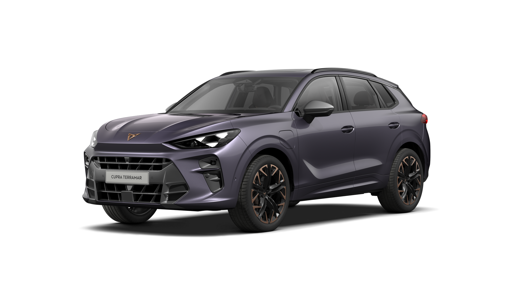 Slika CUPRA Terramar