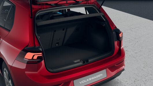 Slika Golf PA Life 2.0 TDI DSG