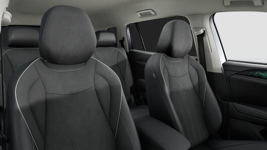 Slika Tayron Elegance 2.0 TDI DSG