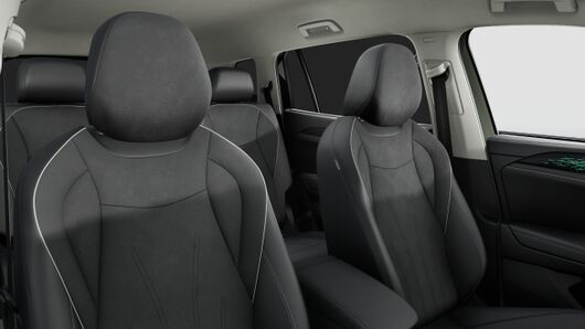 Slika Tayron Elegance 2.0 TDI DSG