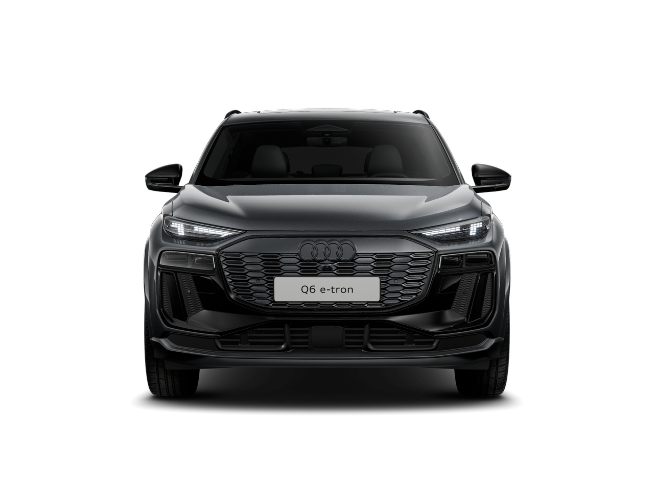 Slika: Q6 e-tron quattro Business