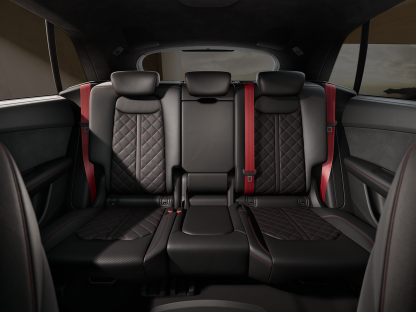 Slika: SQ8 TFSI quattro