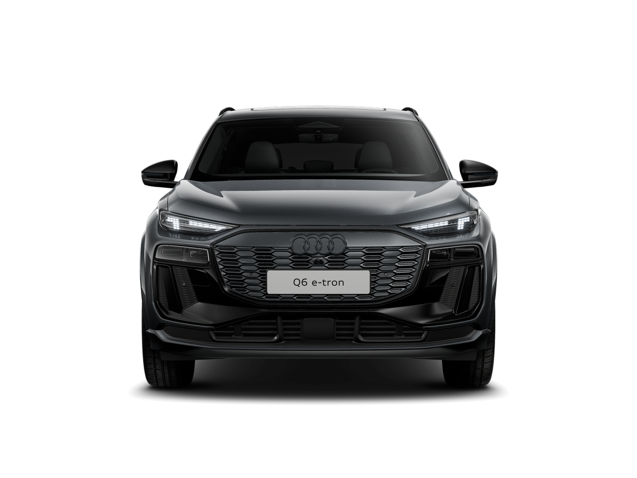 Slika: Q6 e-tron quattro Business