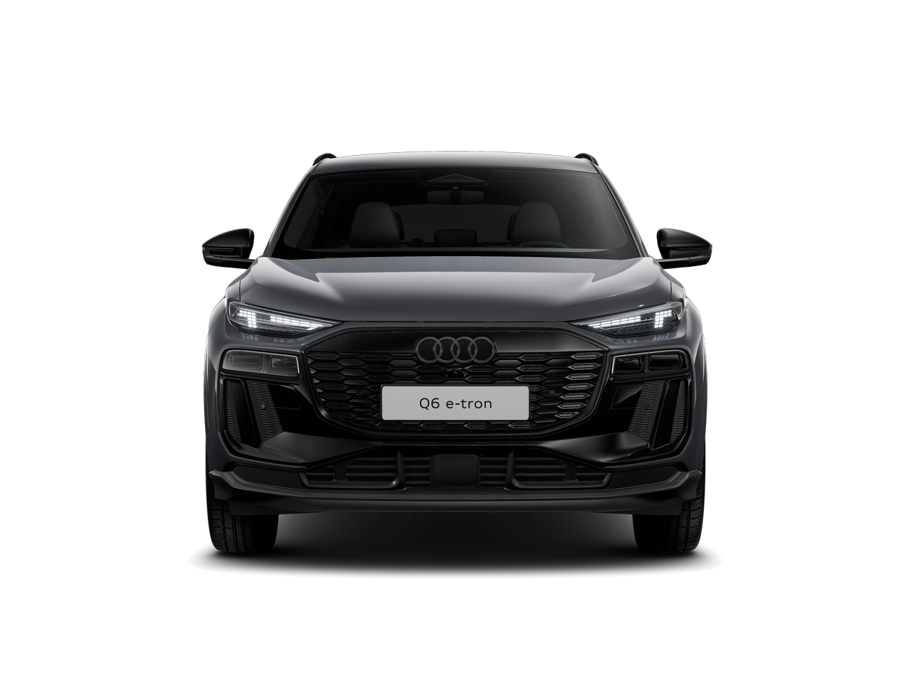 Slika: Q6 e-tron performance Business