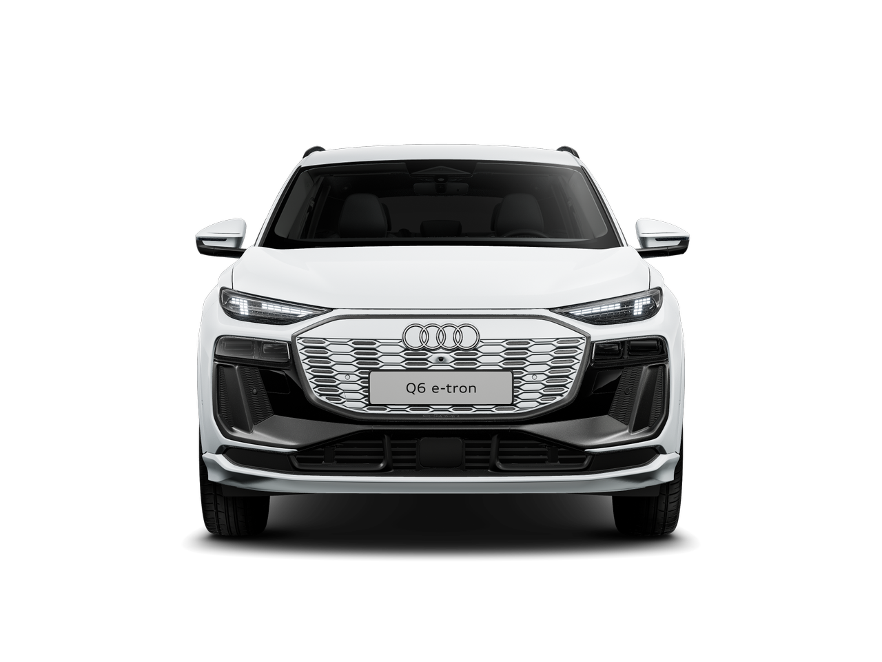 Slika: Q6 e-tron quattro Business