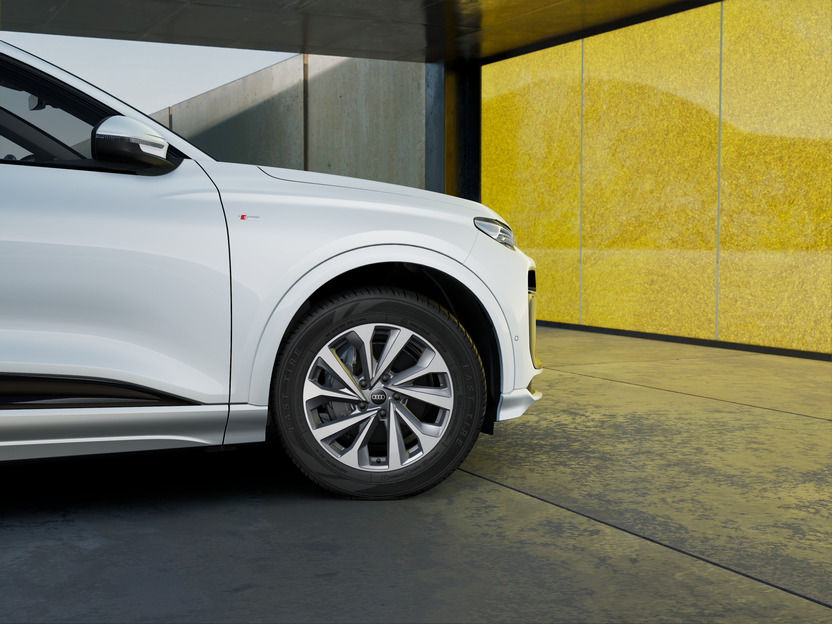 Slika: Q6 e-tron quattro Business