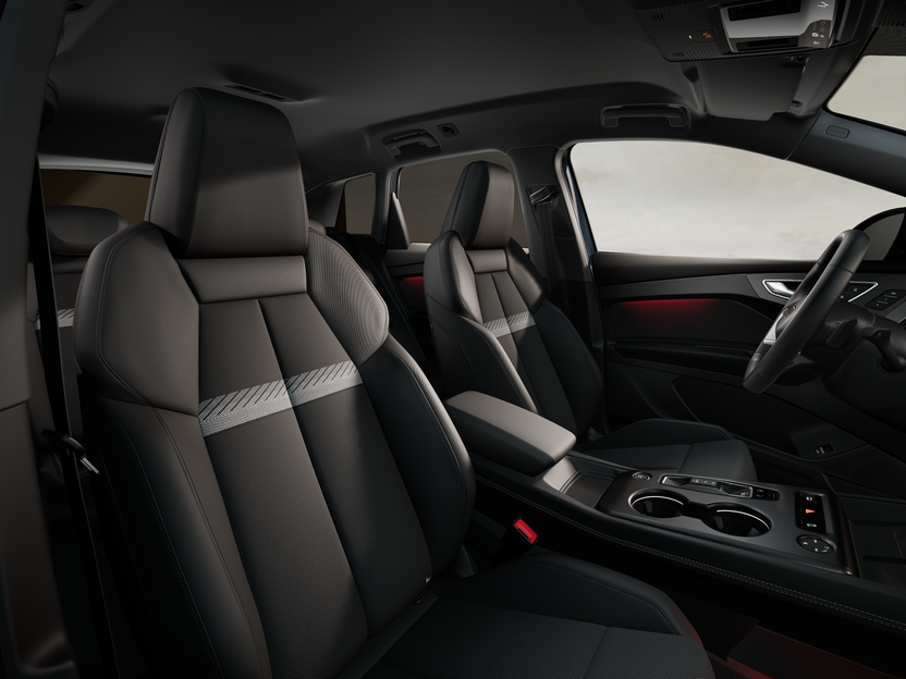 Slika: Q4 e-tron performance Business