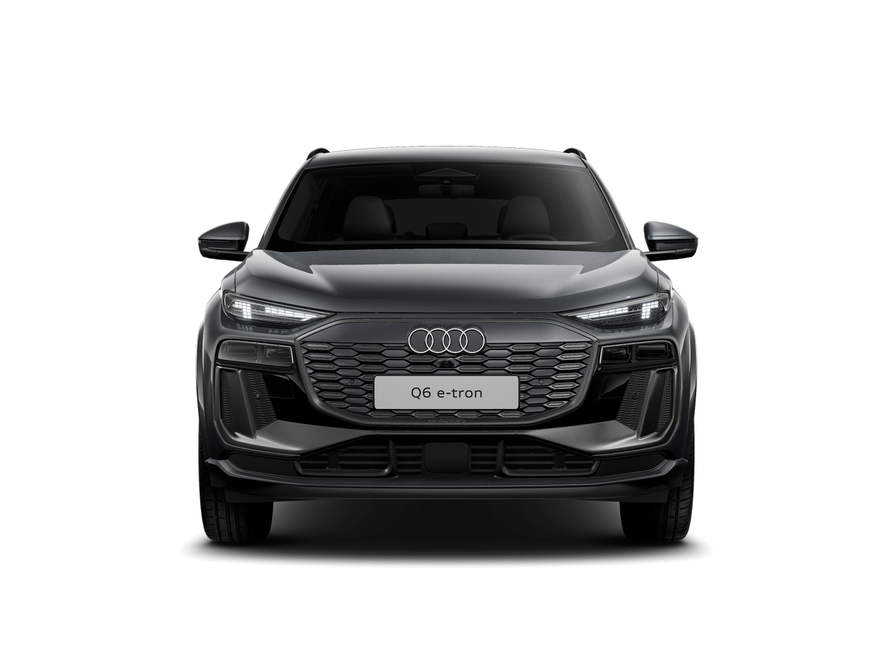 Slika: Q6 e-tron quattro Business