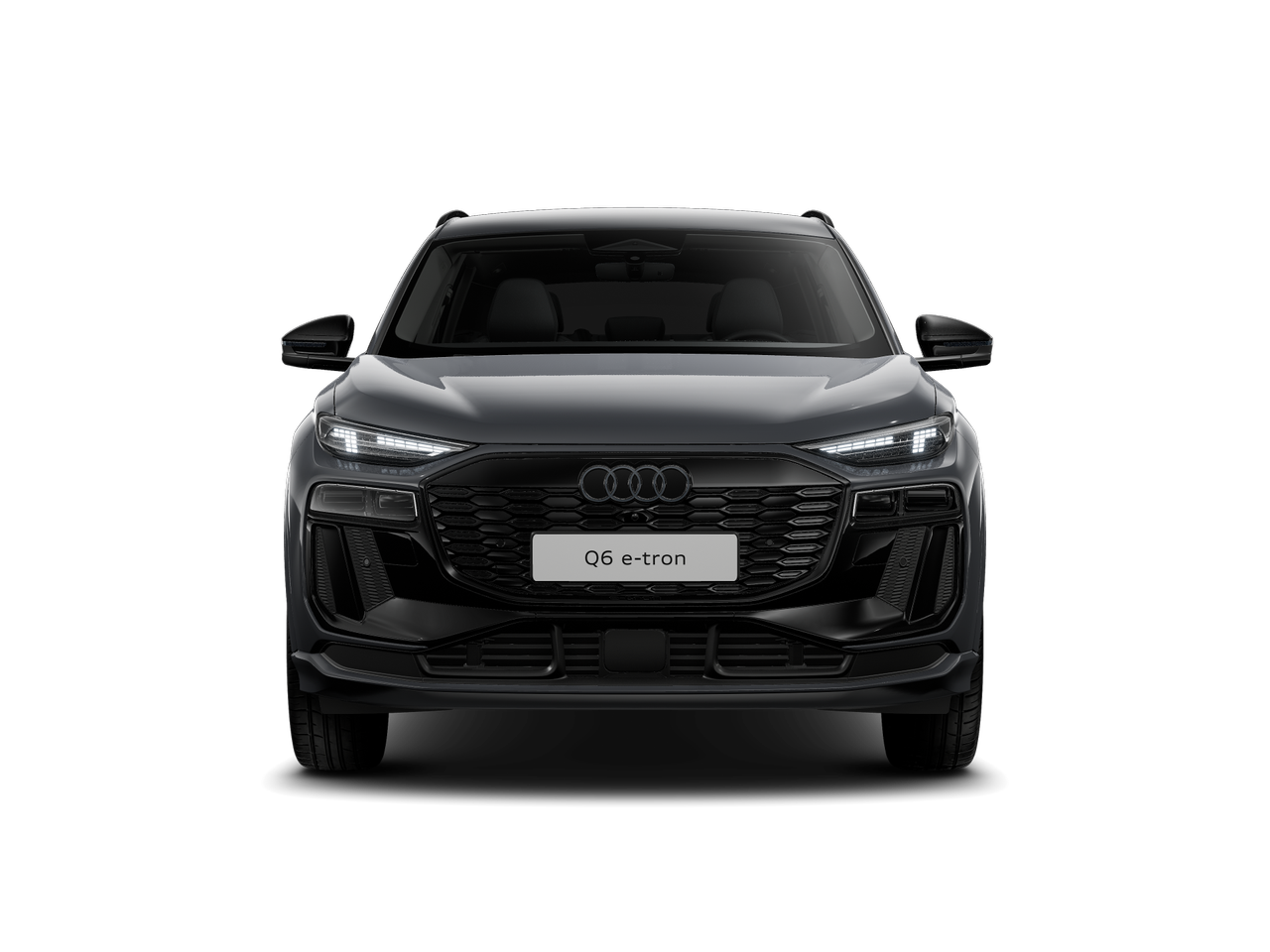 Slika: Q6 e-tron quattro Business