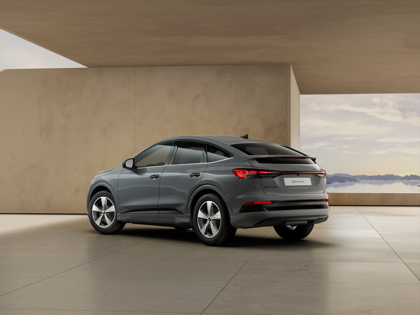 Slika: Q4 Sportback e-tron Business