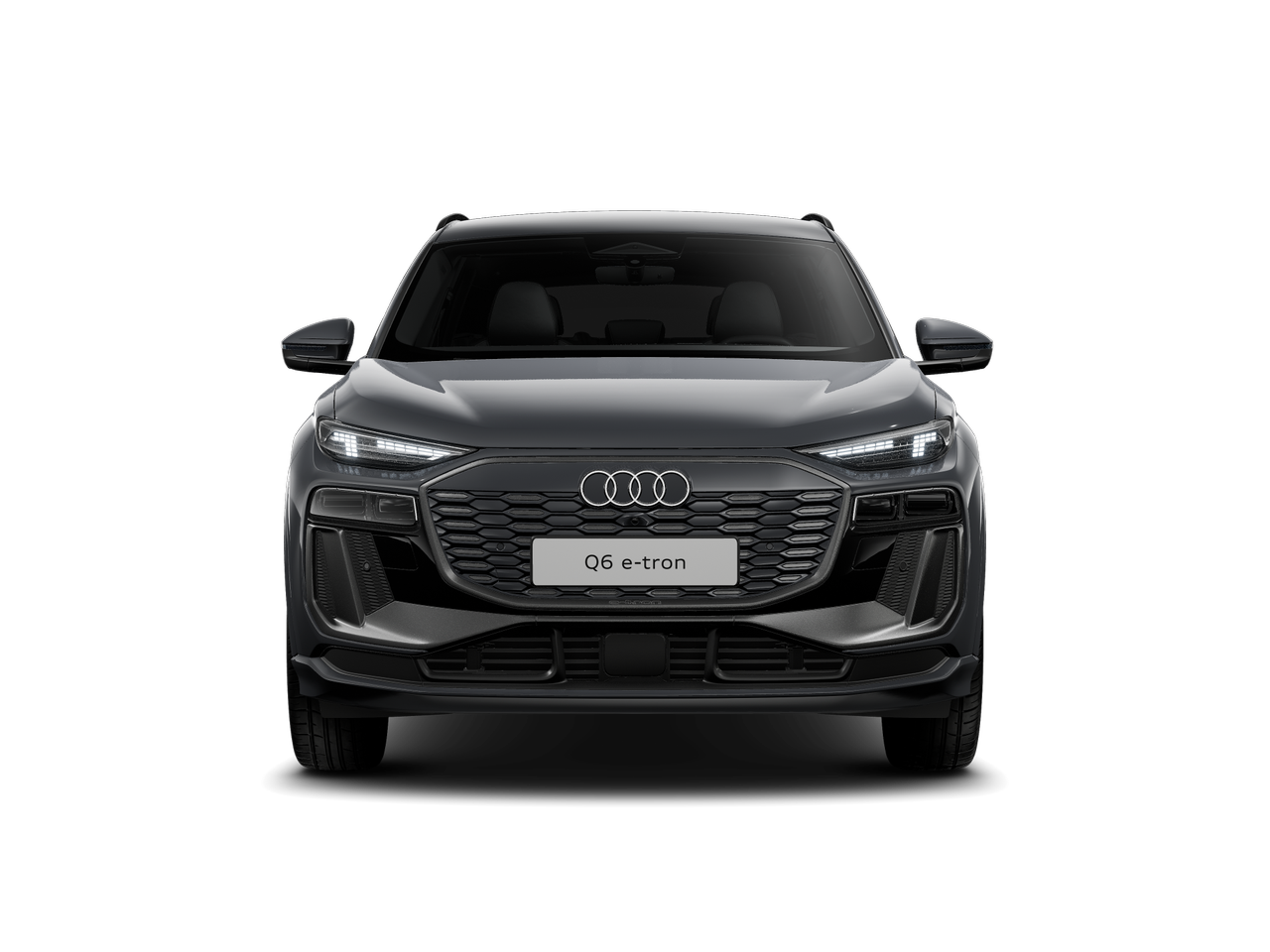 Slika: Q6 e-tron quattro Business