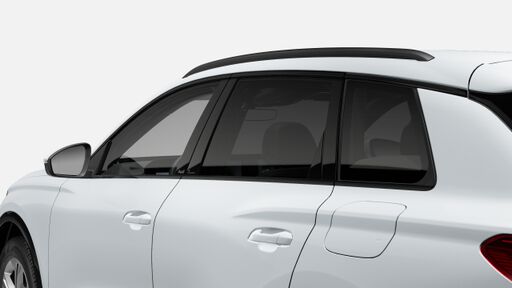 Zasteklitev Privacy (zatemnjena stekla)