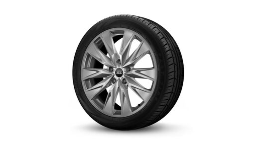 20" lita platišča, 5-kraki dvojni