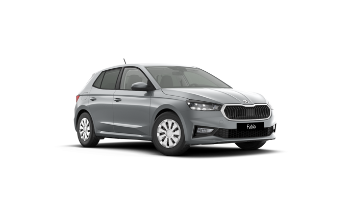 Slika: Fabia Easy 1.0 TSI