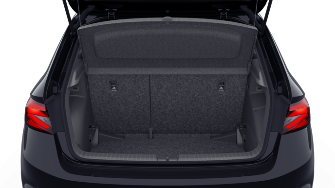 Slika: Fabia Selection 1.0 TSI DSG