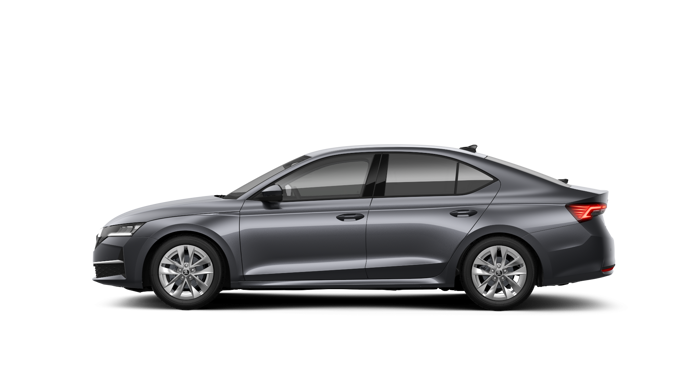 Slika: Octavia Family 2.0 TDI DSG
