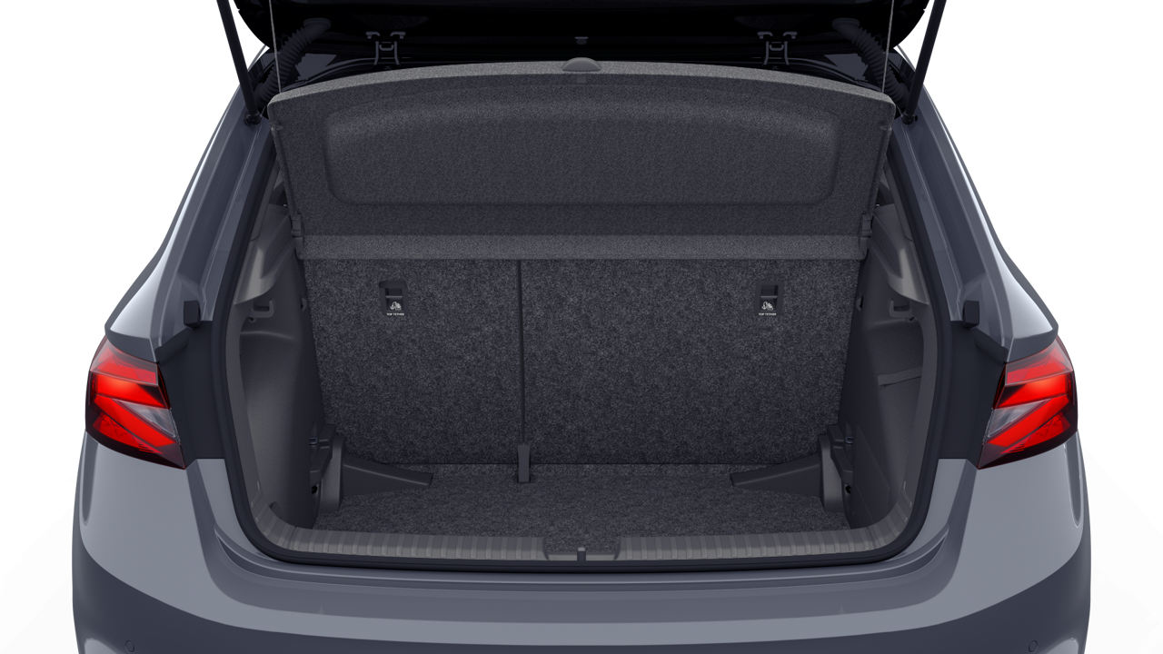 Slika: Fabia Selection 1.0 TSI DSG