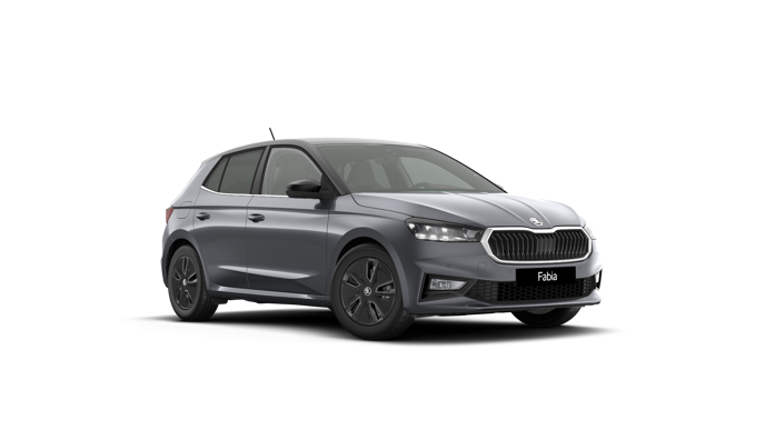 Slika: Fabia Selection 1.0 TSI DSG