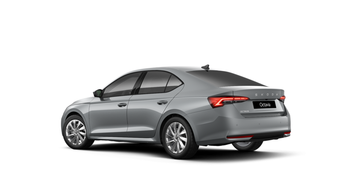 Slika: Octavia Family 2.0 TDI DSG