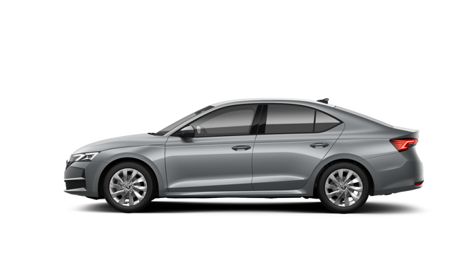 Slika: Octavia Family 2.0 TDI DSG