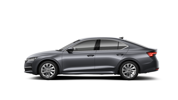 Slika: Octavia Family 2.0 TDI DSG