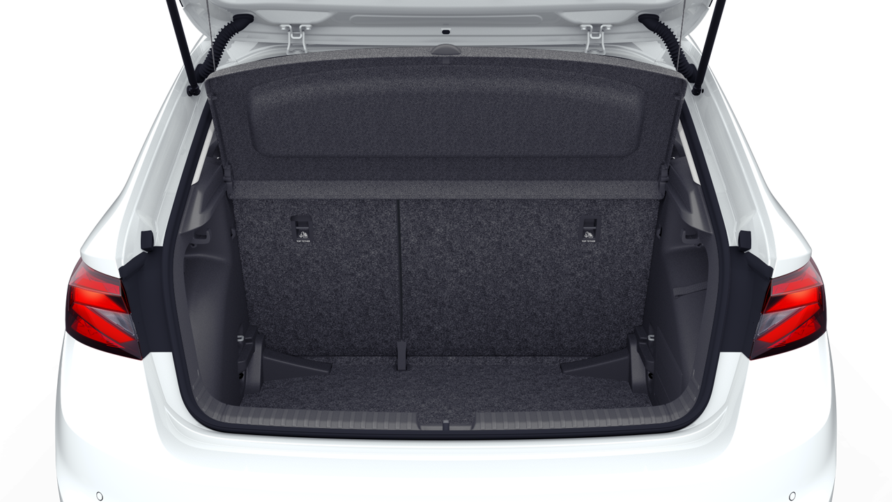 Slika: Fabia Easy 1.0 TSI