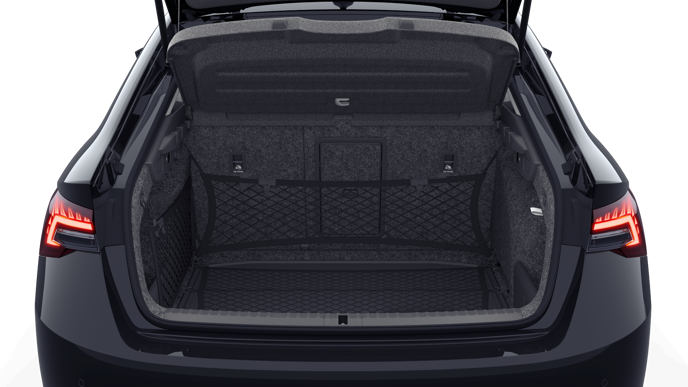 Slika: Octavia Family 1.5 TSI DSG mHEV