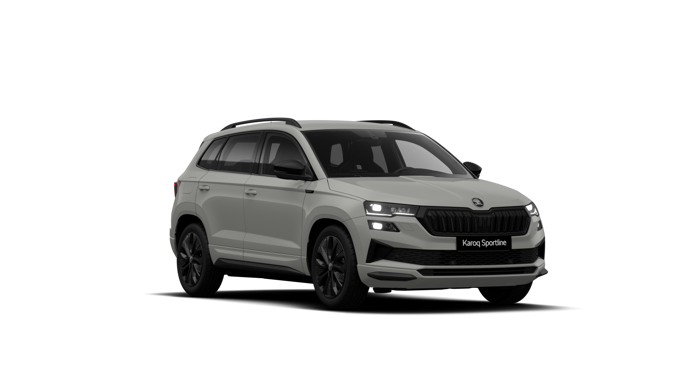 Slika: Karoq Edition Plus 1.5 TSI ACT DSG