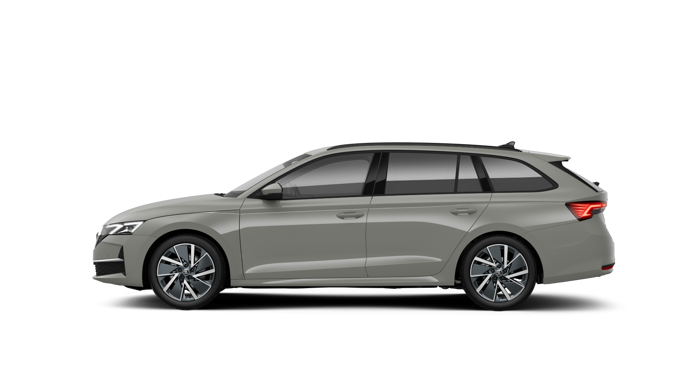 Slika: Octavia Combi Family 2.0 TDI DSG