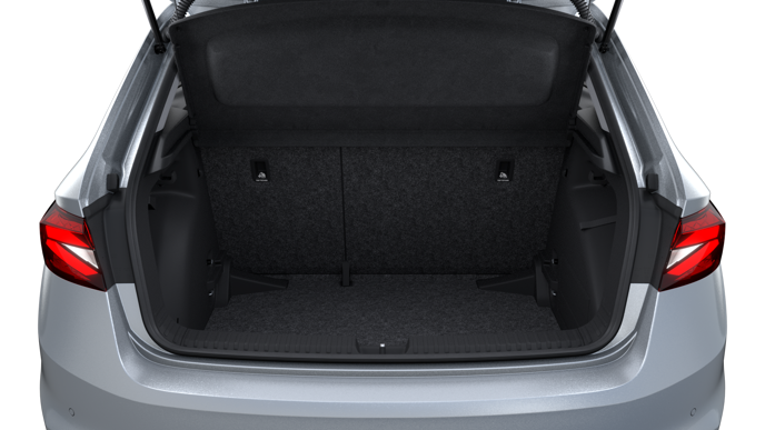Slika: Fabia Easy 1.0 TSI