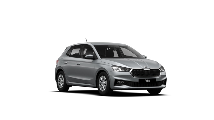 Slika: Fabia Easy 1.0 TSI
