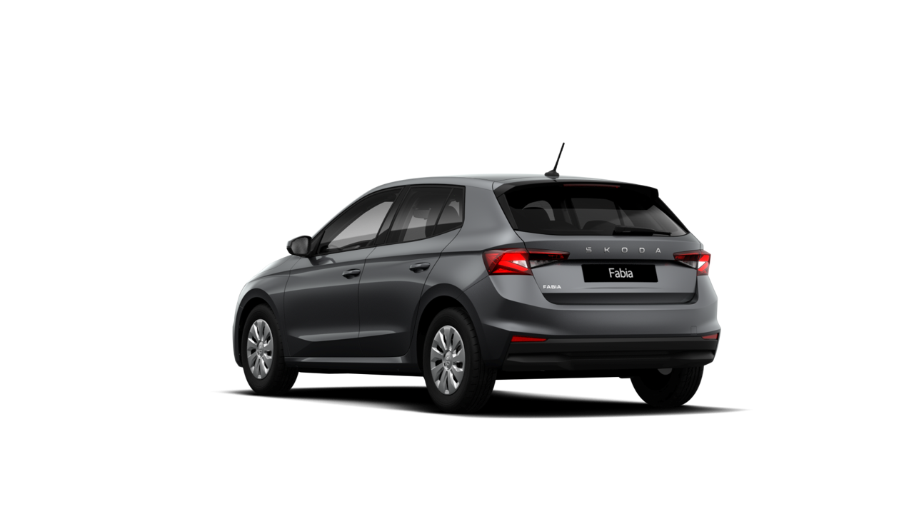 Slika: Fabia Easy 1.0 TSI