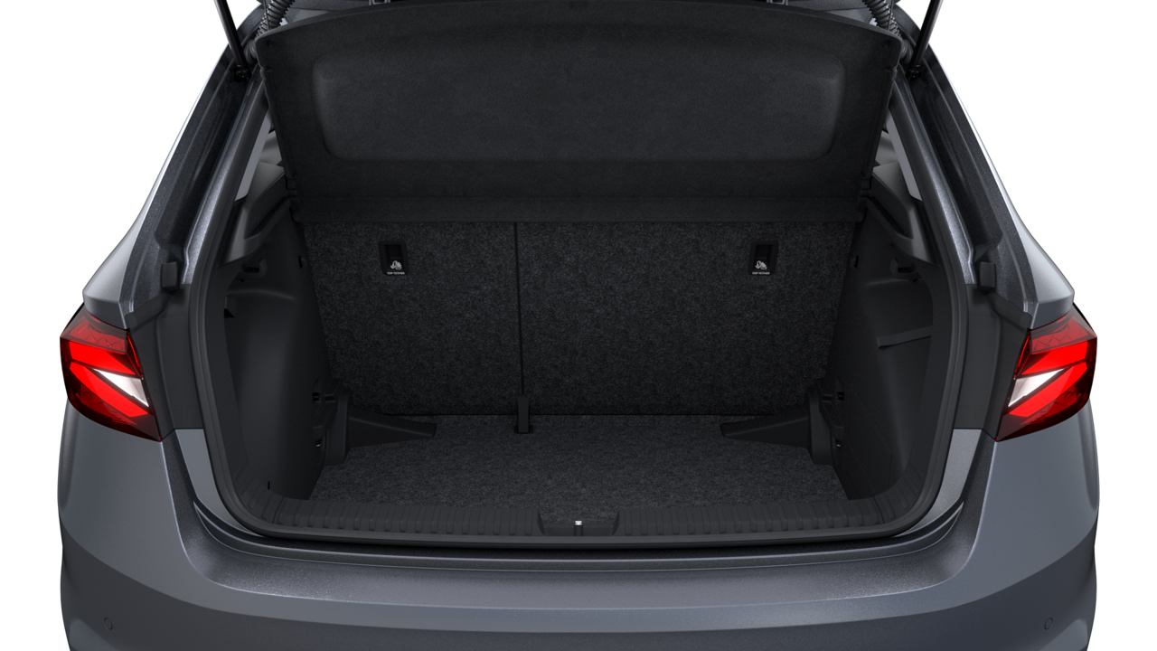 Slika: Fabia Easy 1.0 TSI