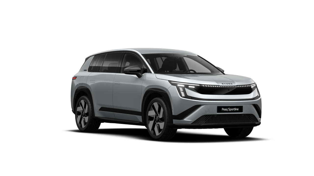 Slika: Peaq Sportline 90