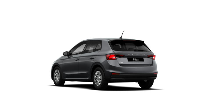 Slika: Fabia Easy 1.0 TSI