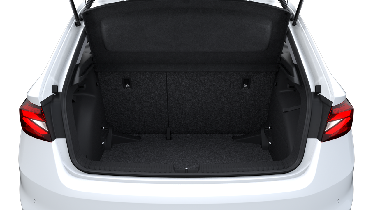 Slika: Fabia Easy 1.0 TSI