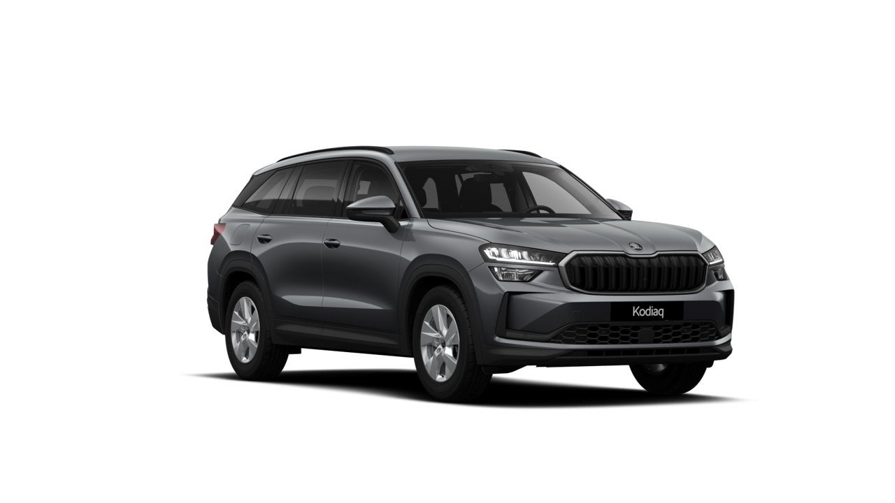 Slika: Kodiaq Selection 1.5 TSI mHEV DSG
