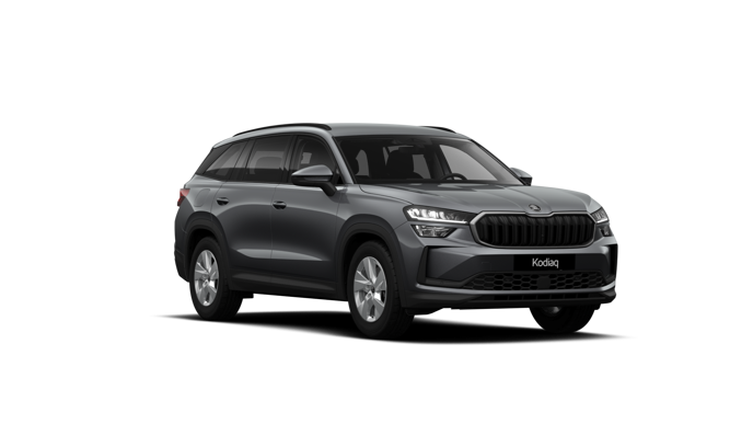 Slika: Kodiaq Selection 1.5 TSI mHEV DSG