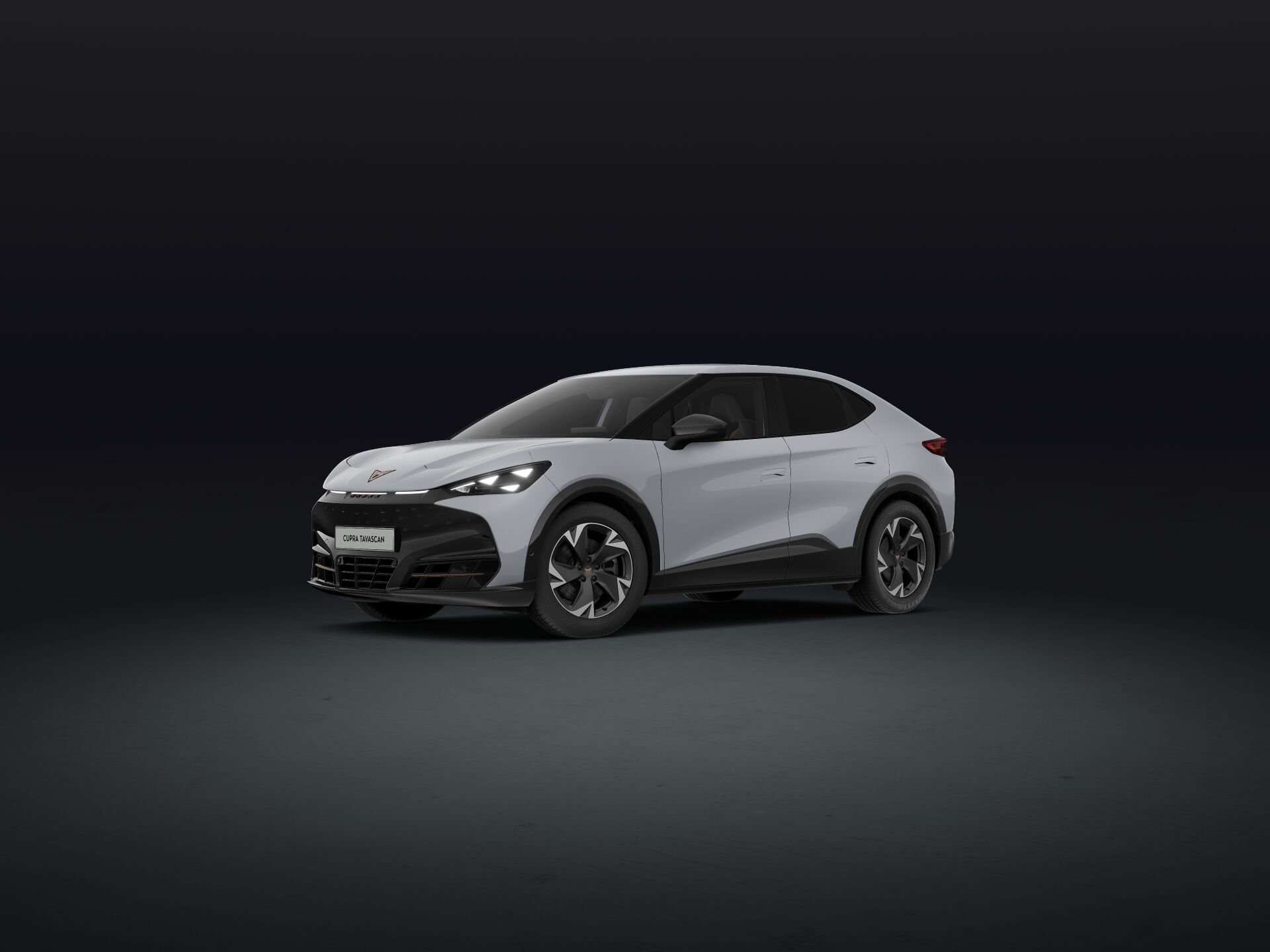 Slika: Tavascan Endurance First Edition 77 kWh