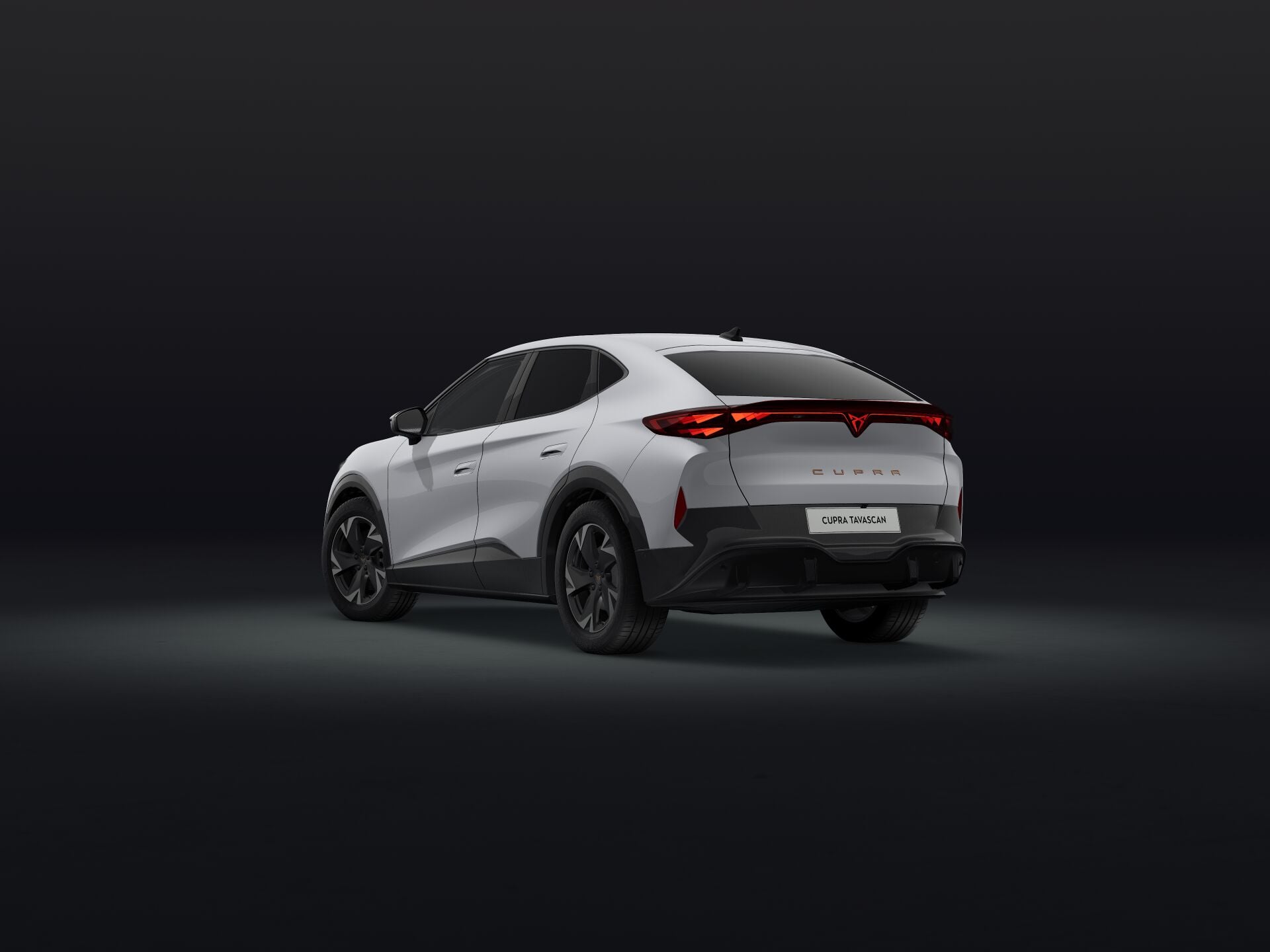 Slika: Tavascan Endurance First Edition 77 kWh