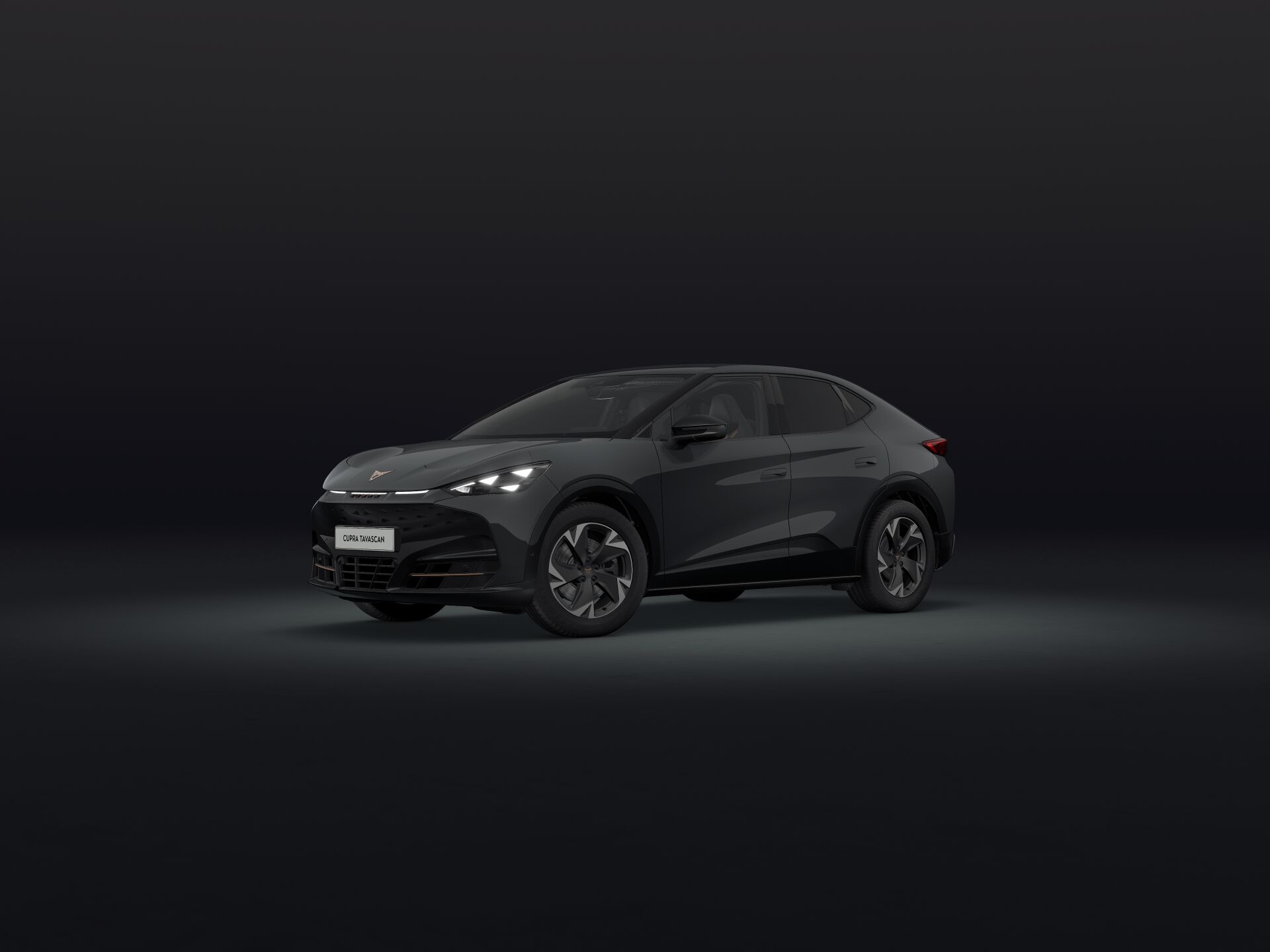 Slika: Tavascan Endurance First Edition 77 kWh