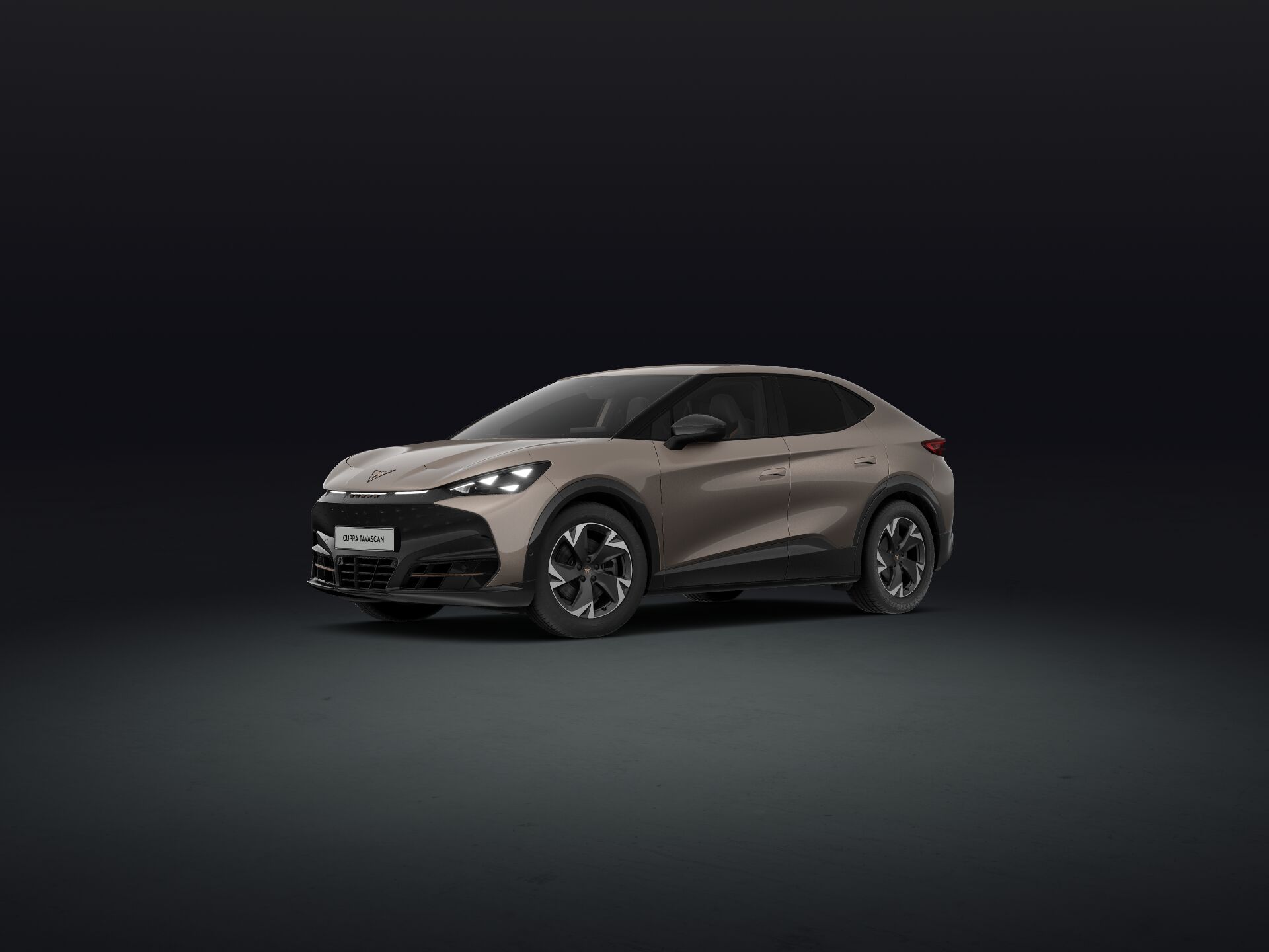 Slika: Tavascan Endurance First Edition 77 kWh