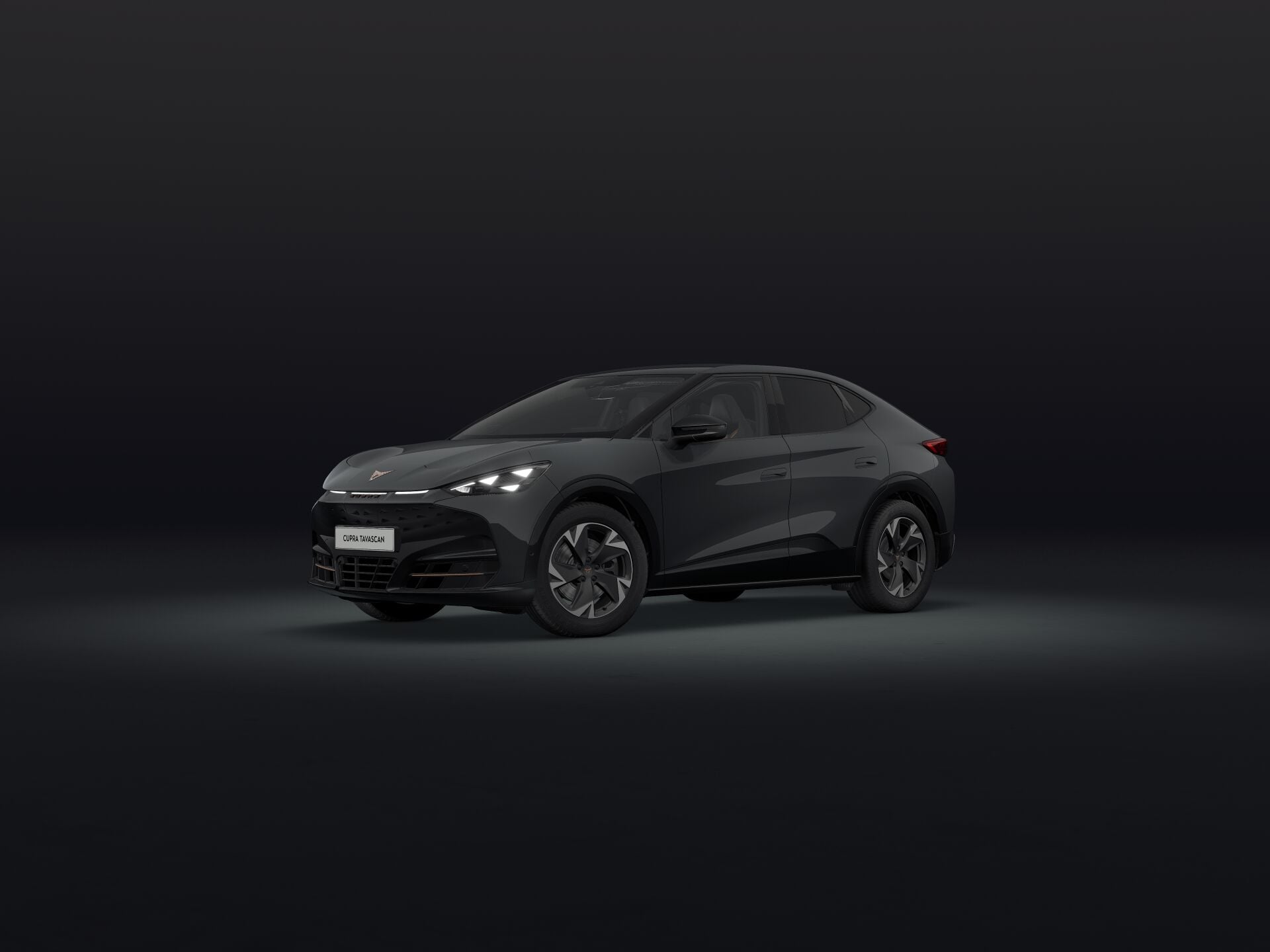 Slika: Tavascan Endurance First Edition 77 kWh