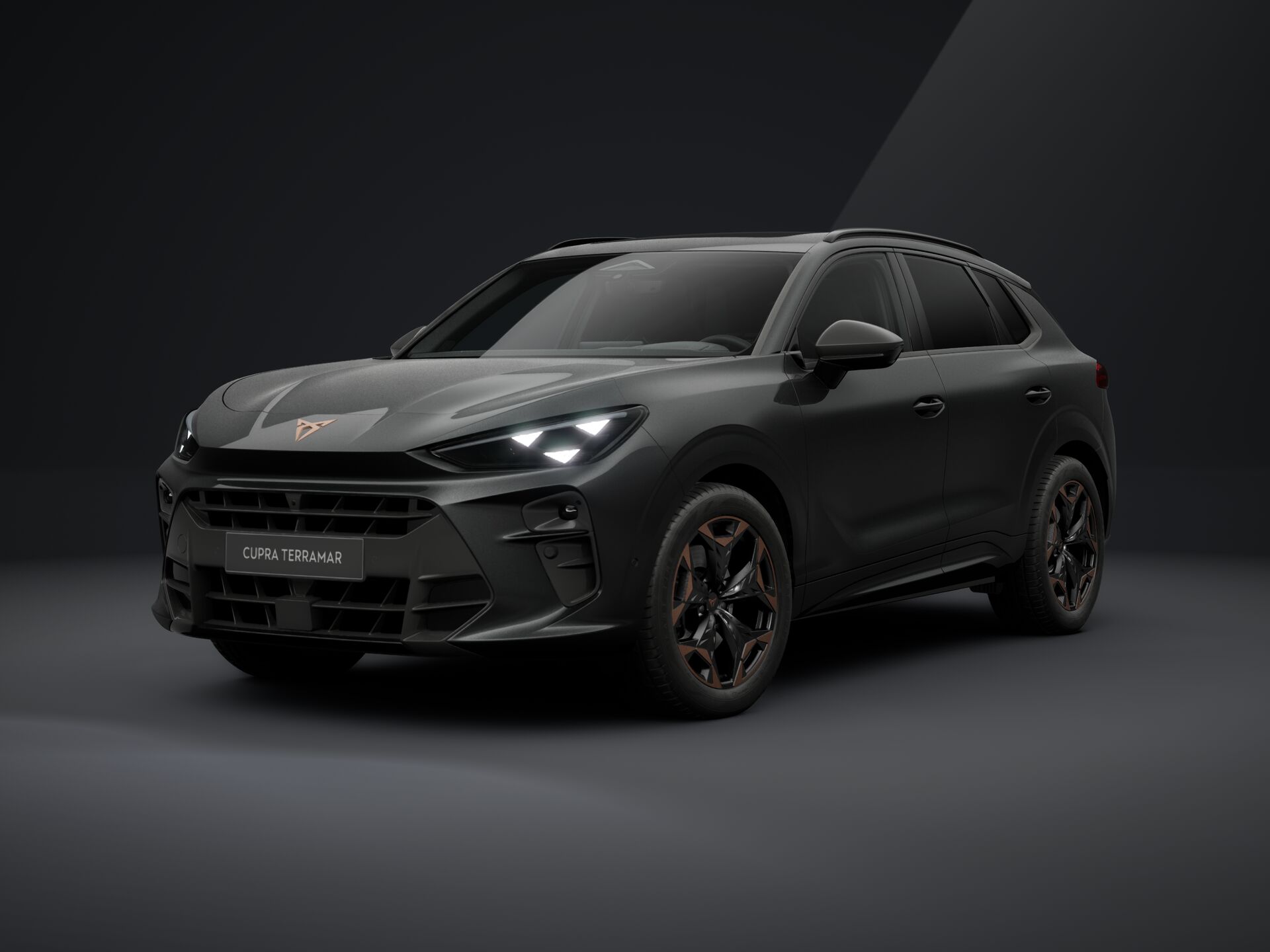 Slika: Terramar VZ Exclusive 2.0 TSI DSG 4DRIVE