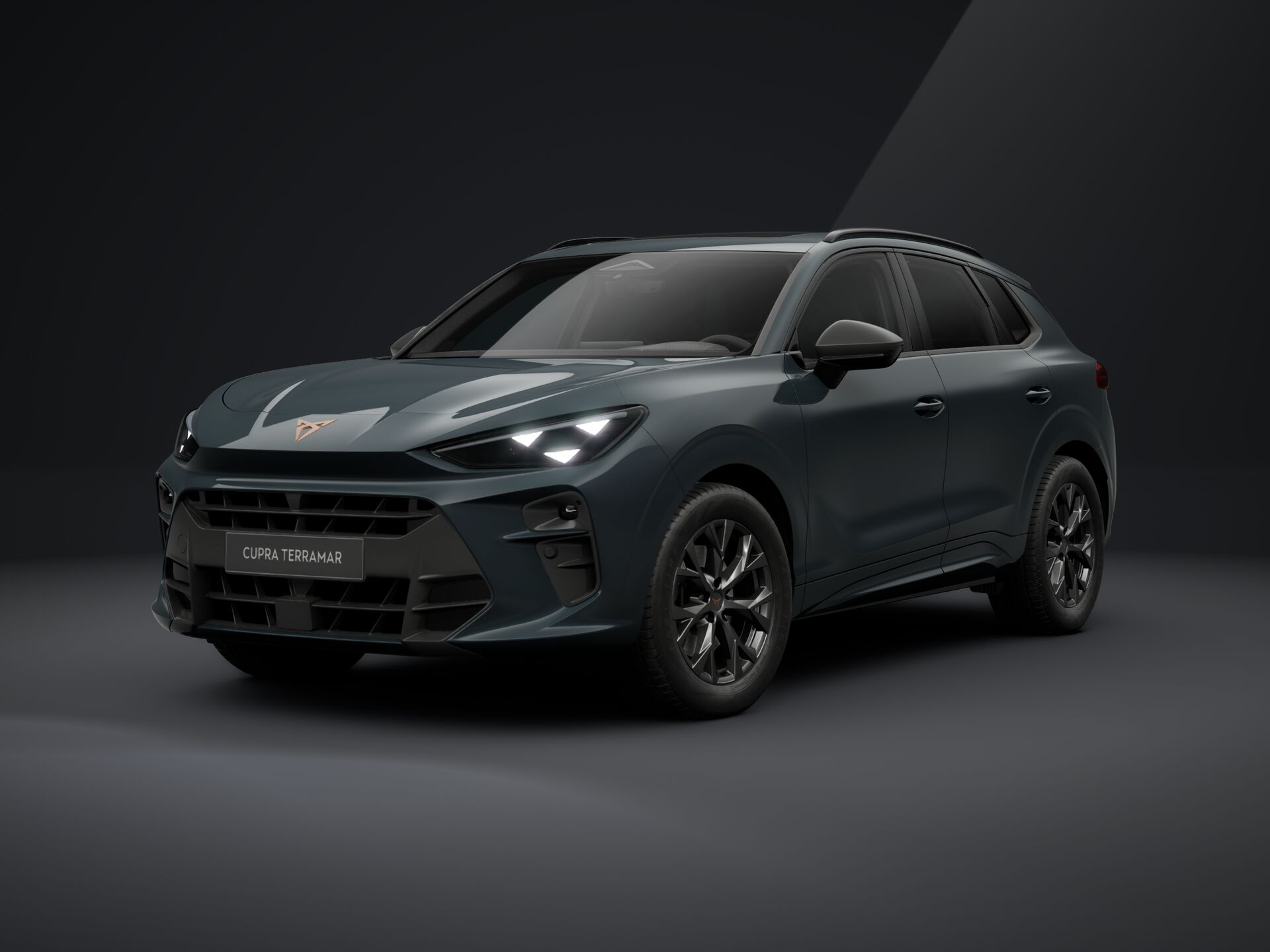 Slika: Terramar Impulse 2.0 TSI DSG 4DRIVE