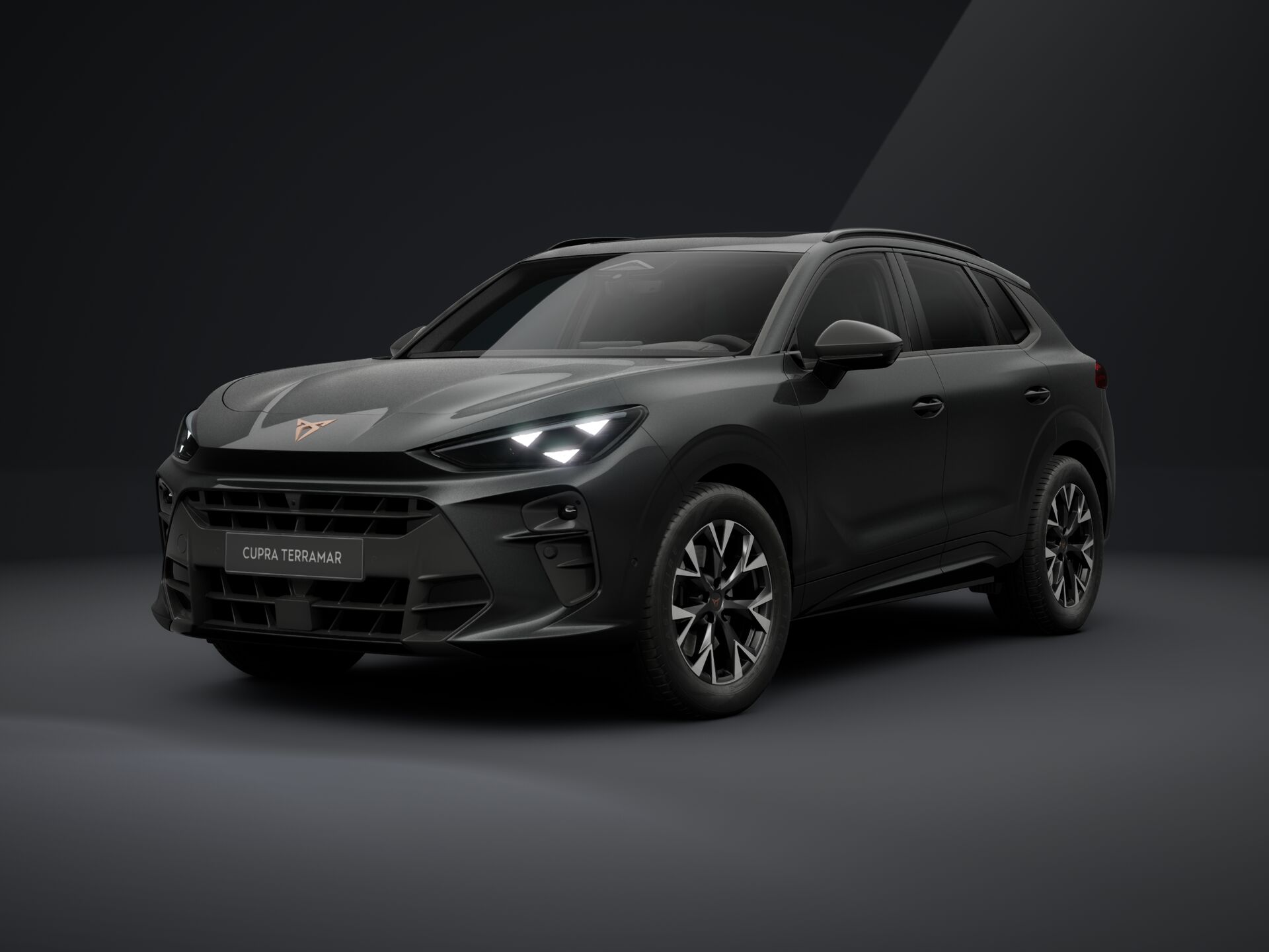 Slika: Terramar Impulse 2.0 TSI DSG 4DRIVE
