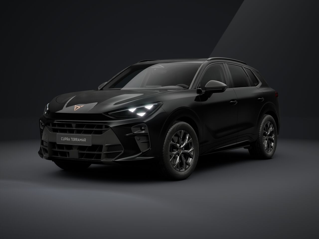 Slika: Terramar Impulse 2.0 TSI DSG 4DRIVE