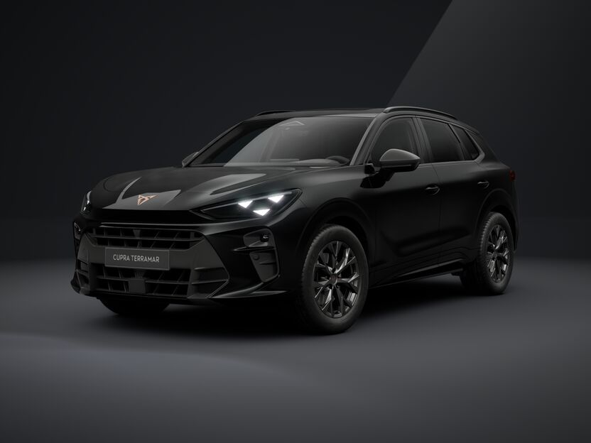 Slika: Terramar Impulse 2.0 TSI DSG 4DRIVE